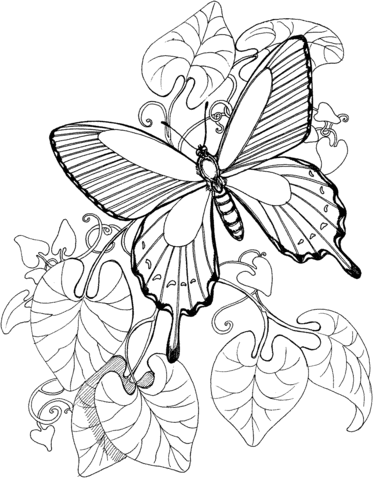 Butterfly Is Flying On The Garden Coloring Page